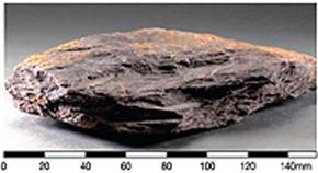 Siltstone of the Pat Sin Leng Formation